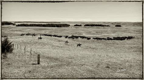 Roundup On The Ranch Photograph By Bill Kesler Fine Art America