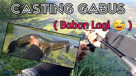 Casting Gabus Babon Lagi Vlog Youtube