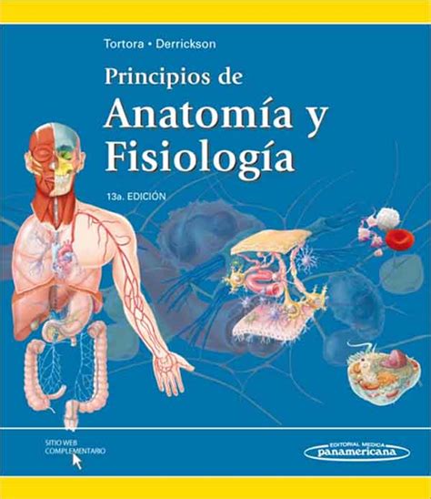 PRINCIPIOS DE ANATOMIA Y FISIOLOGIA 9786077743781