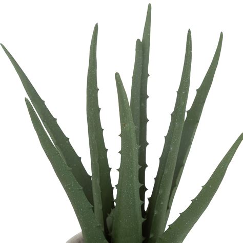 Artificial Aloe Vera Atmosphera Official Website