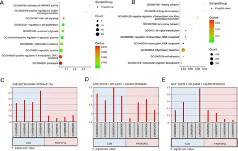 Bioinformatics Analysis For Effects Of Propofol On The Gene Expression