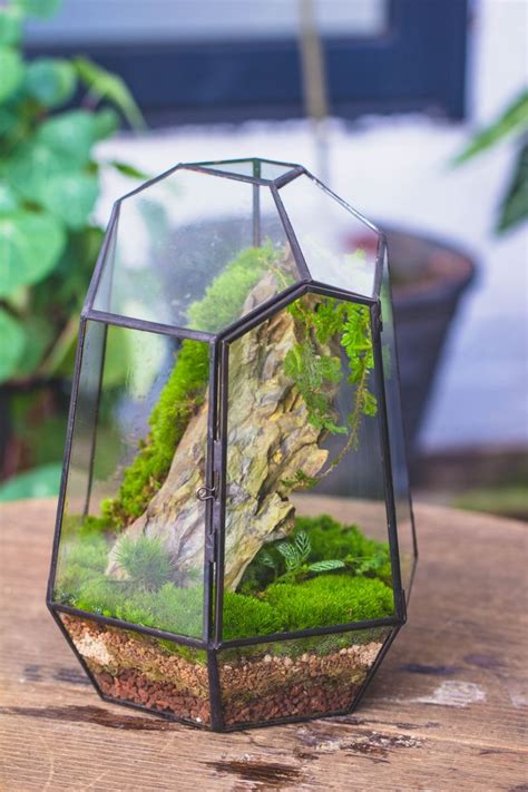 Ncyp Close Geometric Glass Terrarium With Door Tin Sealed Irregular