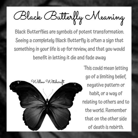 Black Butterfly Meaning Black Butterfly Tattoo Butterfly Meaning