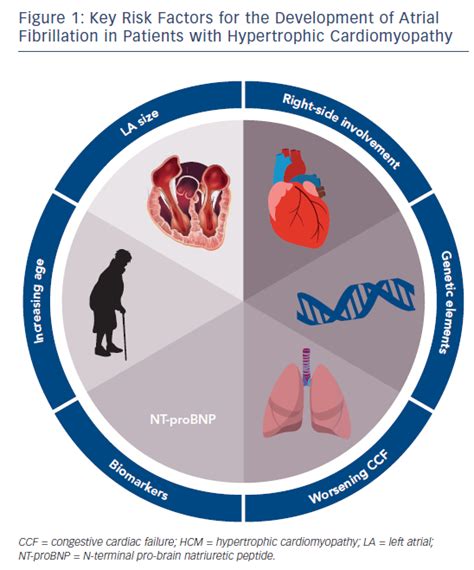 Figure 1 Key Risk Factors For The Development Of Atrial Fibrillation