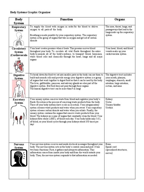 Body System Graphic Organizer With Answers 1pxx04b Pdf Human Body