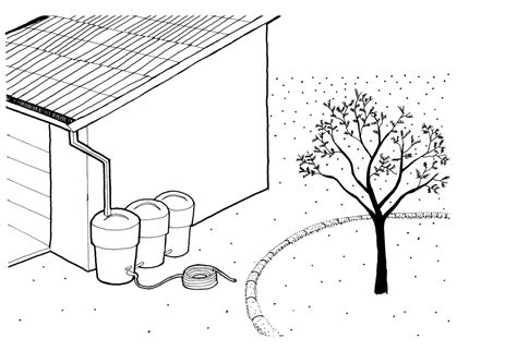 Water Harvesting Basics Water Use It Wisely