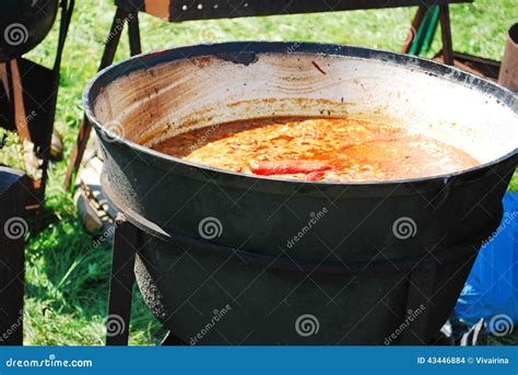 Soup In A Big Pot Stock Photo Image Of Close Closeup 43446884