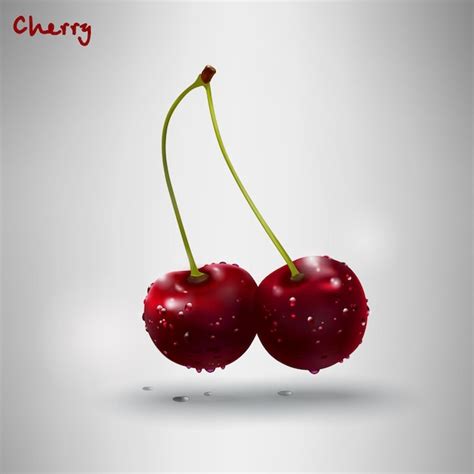 Premium Vector Realistic Cherry Branch Sweet Cherry Ripe 3d Realistic