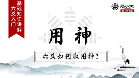 易学六爻基础入门用神章丨何为用神如何取用神 高清1080P在线观看平台 腾讯视频