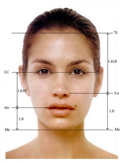 Golden Ratio Face Calculator