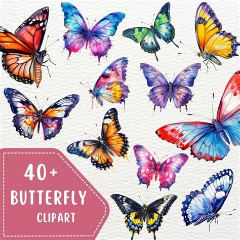 41 Watercolor Butterflies PNG Butterfly Clipart Transparent Digital