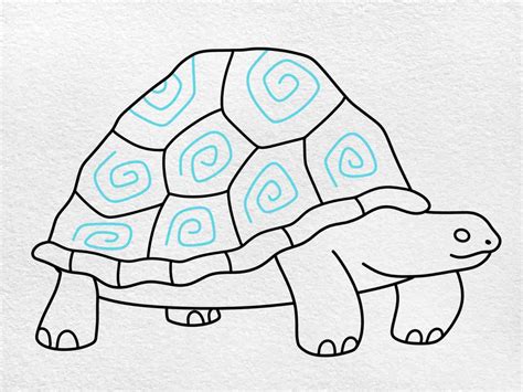 How To Draw A Tortoise Helloartsy