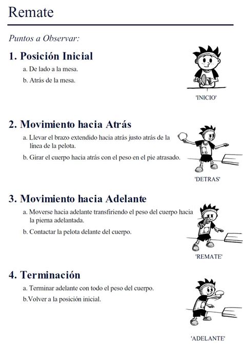 Educación física y algo + : NORMAS Y REGLAS BÁSICAS TENIS DE MESA