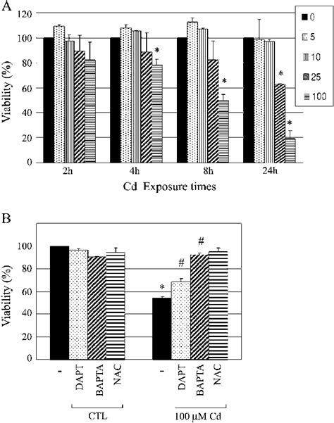 Effect Of Cd On T47d Cell Viability A After Treatment With Various