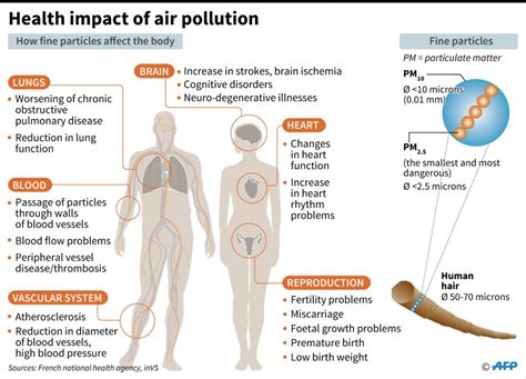 Impact Of Air Pollution On Human Health