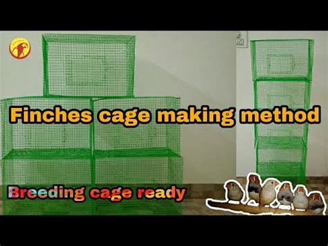 Finches Breeding Cage Making Cage Setup Tamil Ben Birds World Youtube