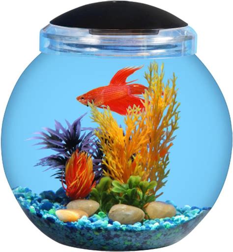 Amazon Koller Products 1 Gallon Fish Bowl With LED Lighting