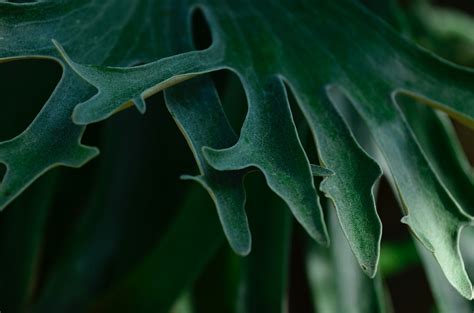 Pillar Texture Photos, Download Free Pillar Texture Stock Photos & HD ...