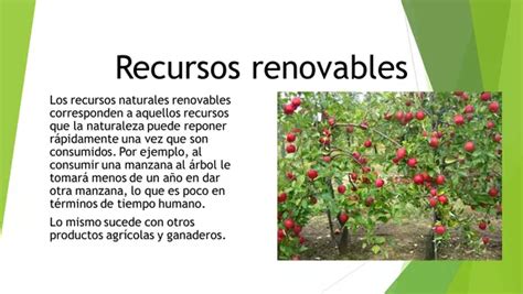 Presentacion Recursos Naturales De Chile Quinto Basico Profesocial