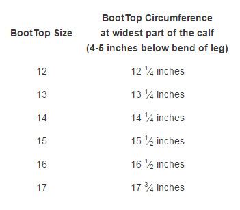 Average Calf Size And Circumference For Males And Females Atelier