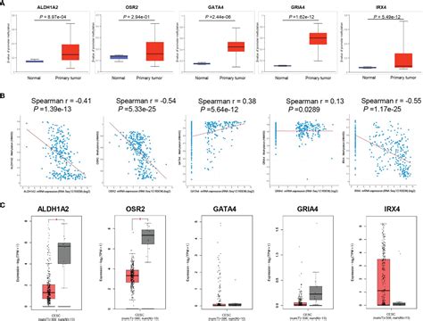 Frontiers HPV Related Promoter Methylation Based Gene Signature