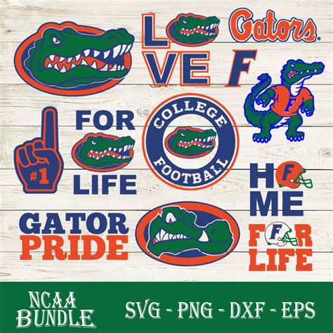 Florida Gators Bundle SVG, Florida Gators SVG, NCAA SVG PNG | Inspire ...