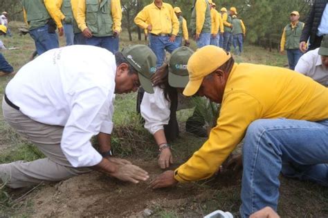 Sergio Salom N Inicia En Tianguismanalco El Programa De Reforestaci N