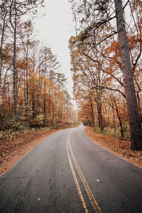 Autumn Road Wallpapers 4k HD Autumn Road Backgrounds On WallpaperBat