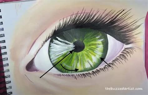 Paint a Realistic Eye with Acrylic in 2022 | Realistic eye, Eye ...