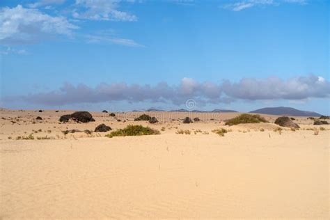 Corralejo Dunes Natural Park, Fuerteventura, Spain Stock Image - Image of corralejo, coast ...