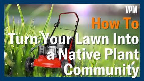 How To Convert Your Lawn Into Native Plant Communities Youtube