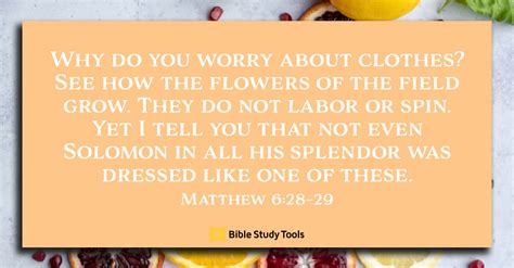 How Springtime Flowers Teach Us Matthew Your Daily Bible