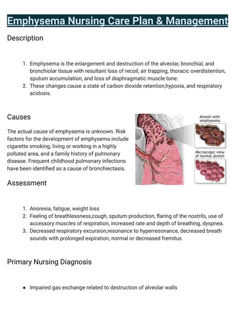 SOLUTION Emphysema Nursing Care Plan Management Studypool