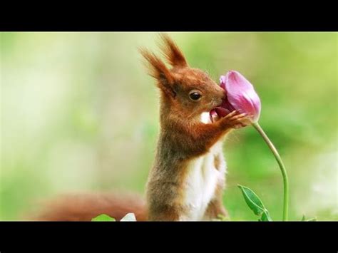 Олег Газманов - Русский мир (рок-версия) 🧡🤍💙 - YouTube