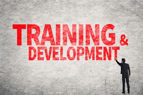 Benefits Of Training And Development In An Organization Lowkeytech