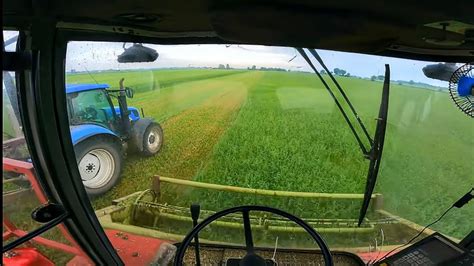 Cab View Alfalfa Silage With Case Mengele Mammut 7800 YouTube