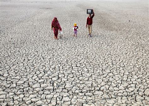 Olas de calor sequías inundaciones y hambre ecologica