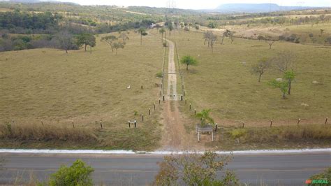 Fazenda A Venda Em Formosa Go Na Beira Do Asfalto Go 468 Em 705185