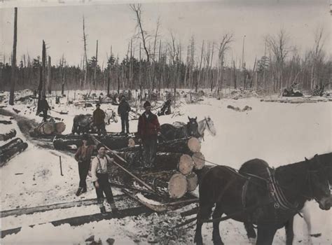 Artifact Photograph Horse Drawn Logging Sled 2015115 Museum