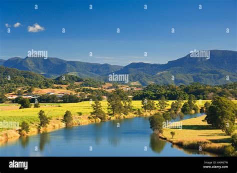 Tweed River Near Murwillumbah New South Wales Australia Pacific