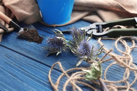 Secuencia Flores Y Herramientas Que Cultivan Un Huerto En Fondo De