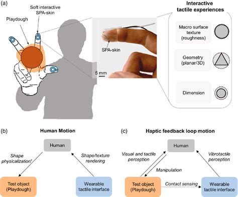 Wearable Soft Interactive Interface A A Two Component System