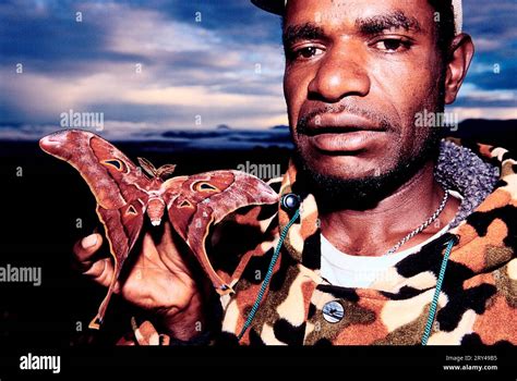 Man With Butterfly Papua New Guinea Man With Butterfly Asia