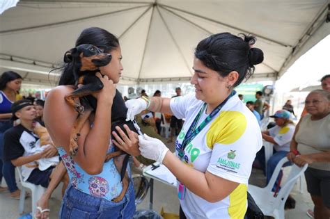 Castração gratuita de cães e gatos no Viver Melhor