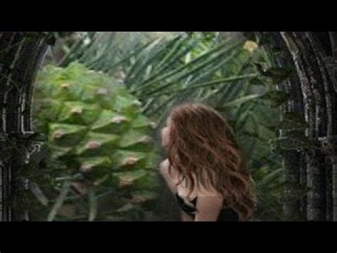 Сосновый мед - YouTube