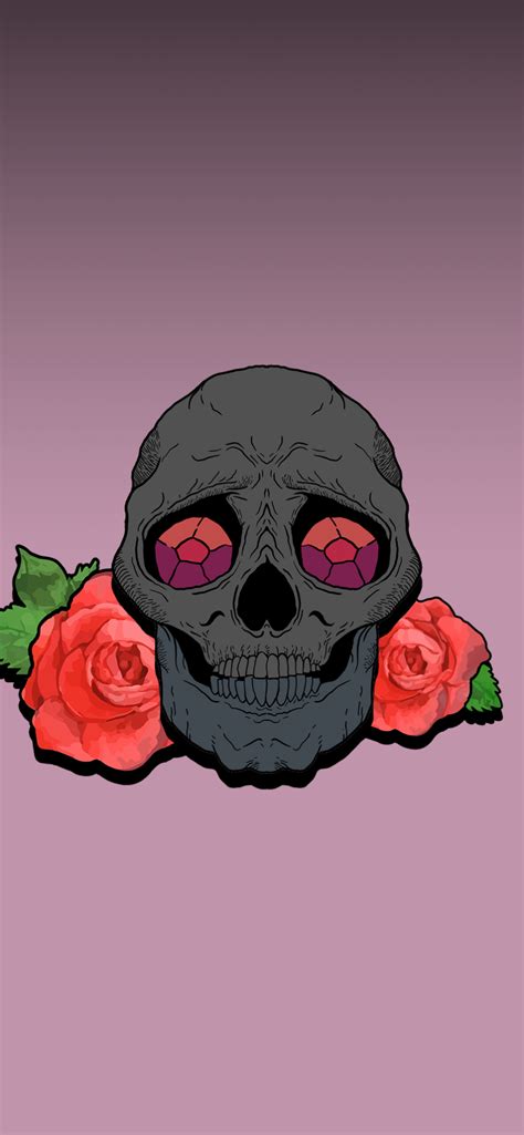 Top Skull Aesthetic Wallpaper Best In Cdgdbentre