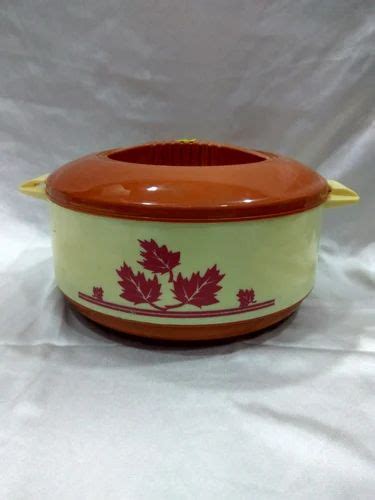 GEENOVA Plastic Multicolor Hot Casserole Capacity Ml At Rs Piece In New Delhi
