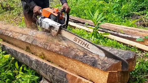 Skill Felling Down Old Palm Tree With Amazing Chainsaw Machine Stihl 720 Ms Tree Felling Videos