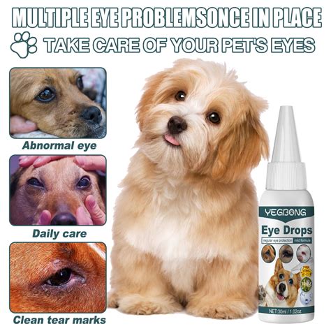 Wcucv Dog Eye Drops For Infection Pet Eye Drops Pet Eye Cleaning Eye
