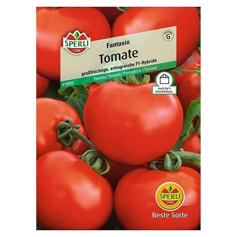 Sperli Gem Sesamen Tomate Fantasio Solanum Lycopersicum Erntezeit